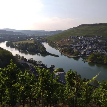 Moselblick