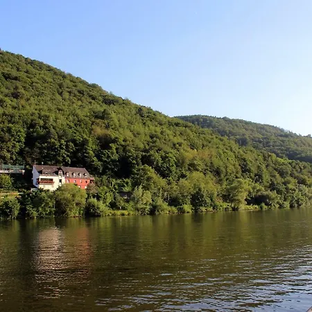 Moselblick