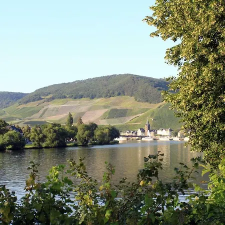 Moselblick